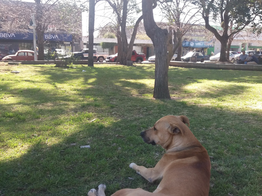 Plaza Independencia-Carmelo必去景点