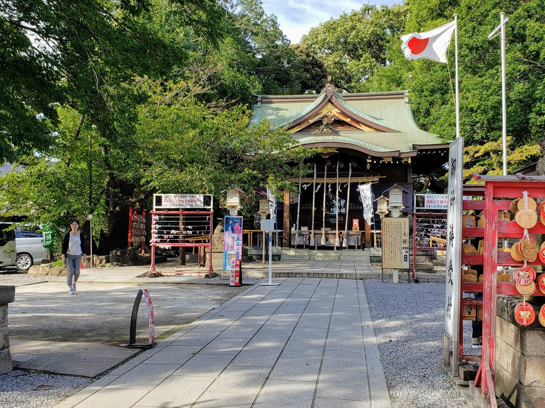 Hikawa Shrine-川口市必去景点