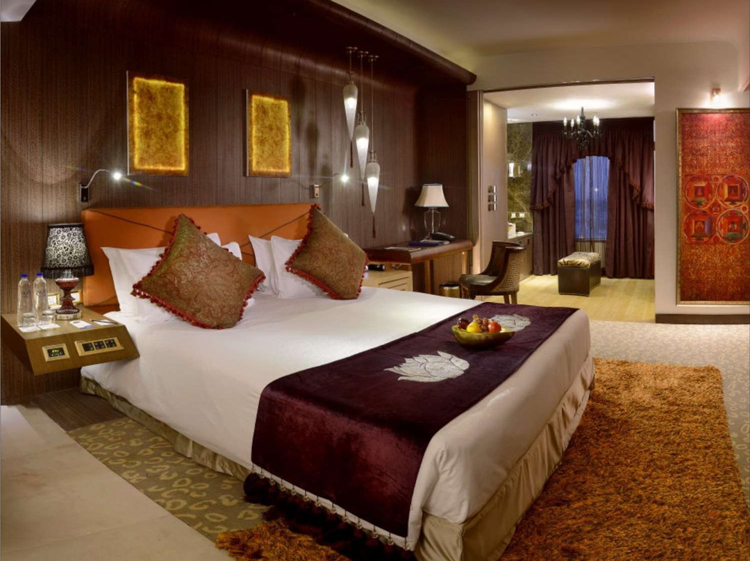 卢迪亚纳丽笙酒店主图