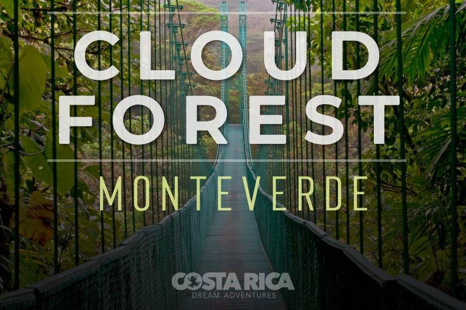 Costa Rica Dream Adventures景点图片
