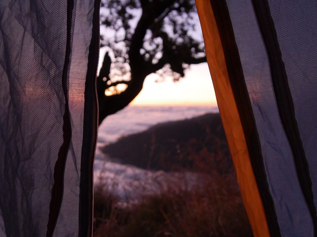 Central Rinjani Trekking景点图片