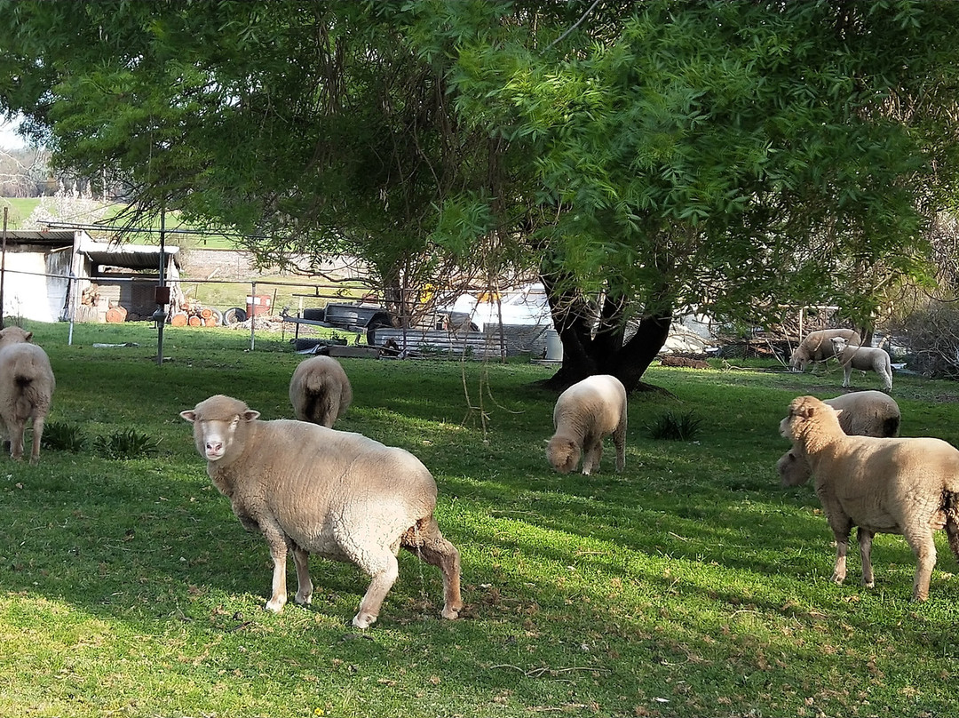 The Lydoun Motel主图