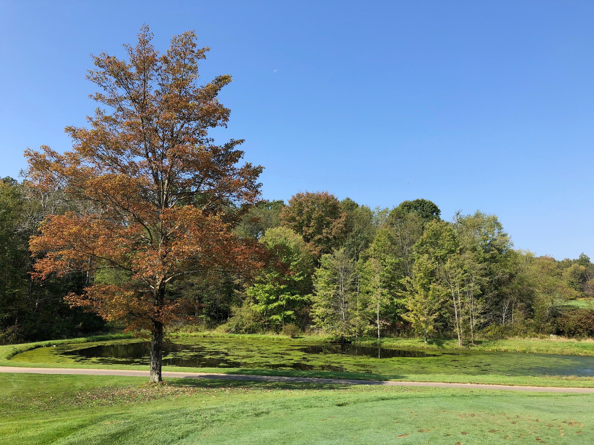 Cross Creek Resort-官方