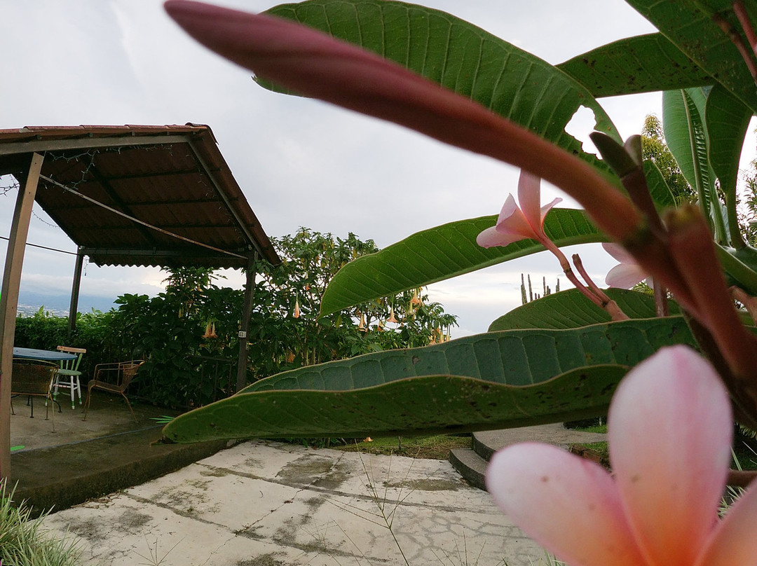 Casa Cielo Grande主图