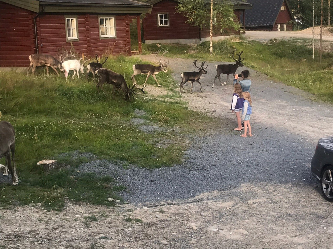 Idre Fjall