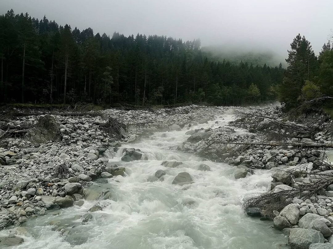 Tseyskiy Glacier景点图片
