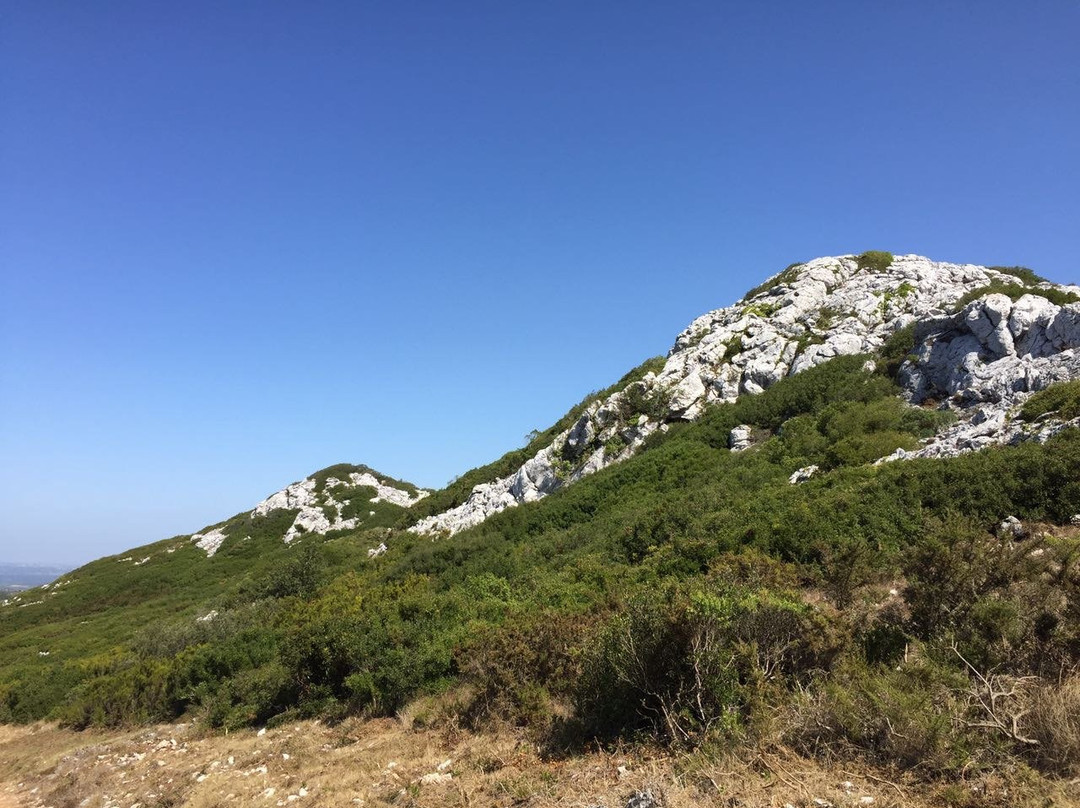 Serra de Montejunto景点图片