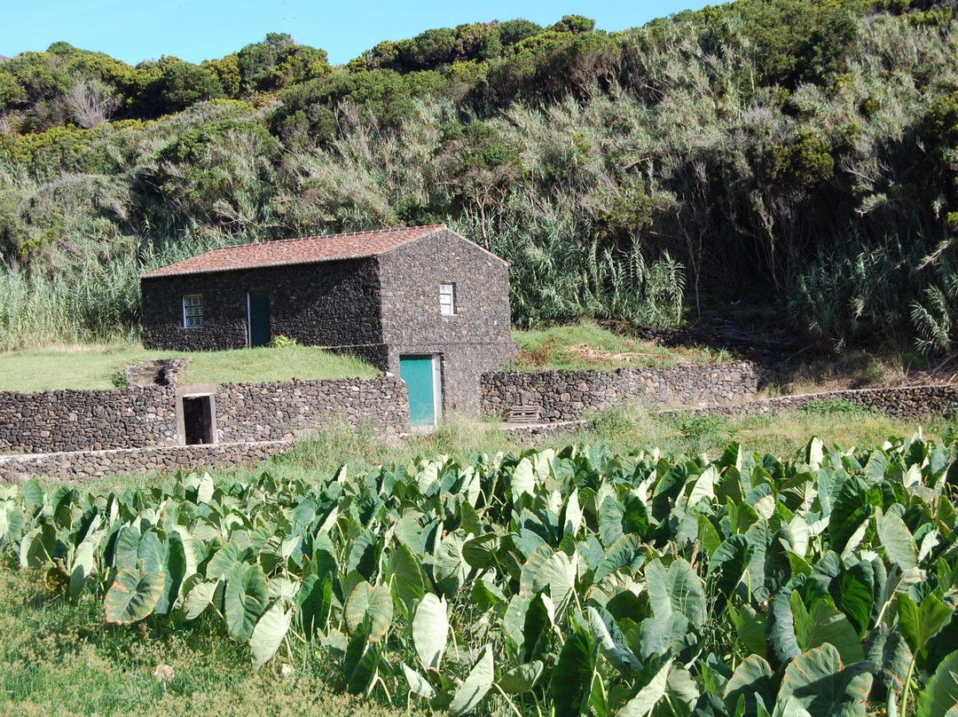 Baias da Agualva景点图片