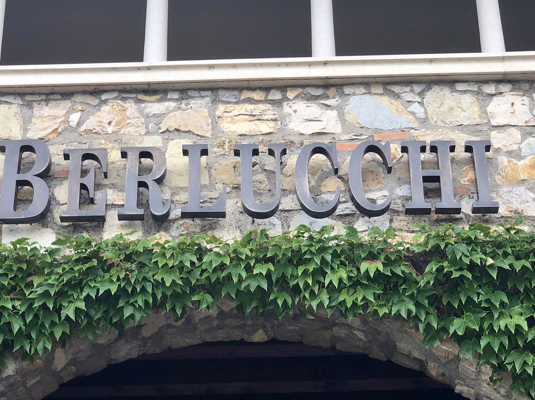 Azienda Agricola Fratelli Berlucchi景点图片