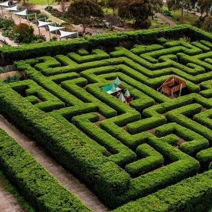 Barrabool Maze Estate景点图片