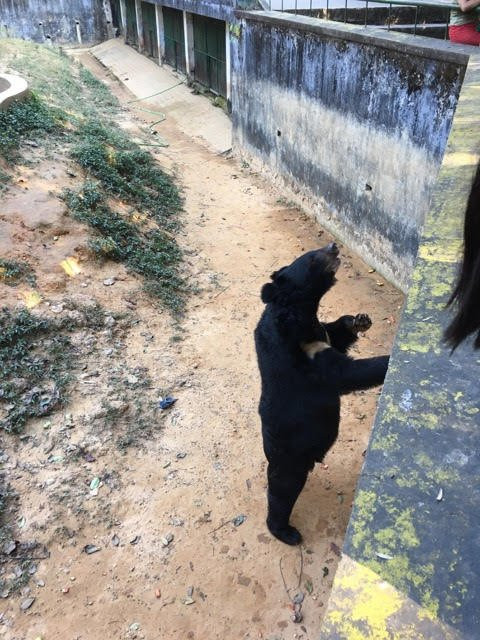 Hlawga Wildlife Park-仰光必去景点