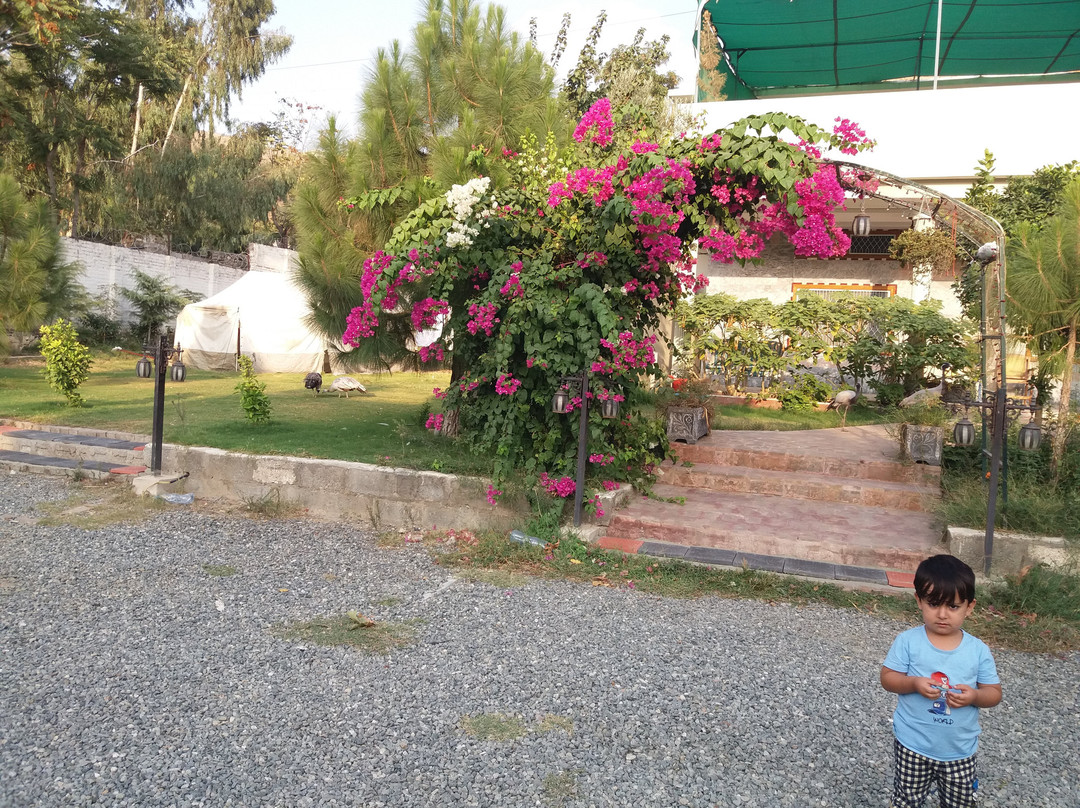 Chinar Rest House主图