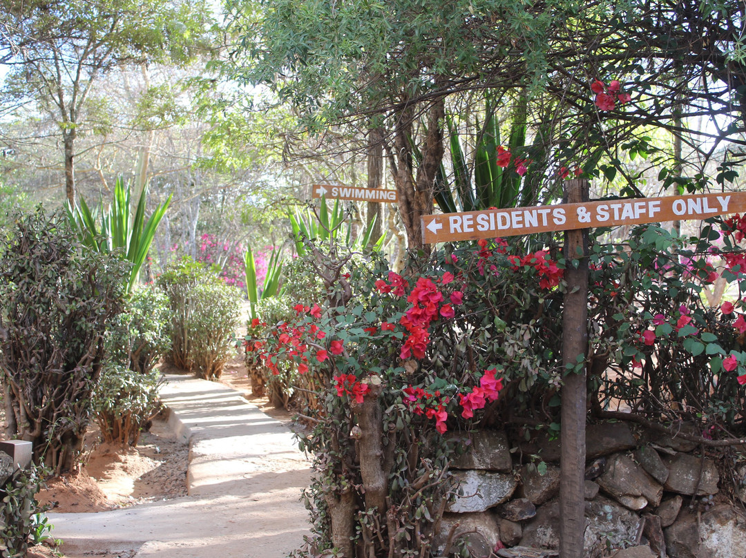 Maralal Safari Lodge主图