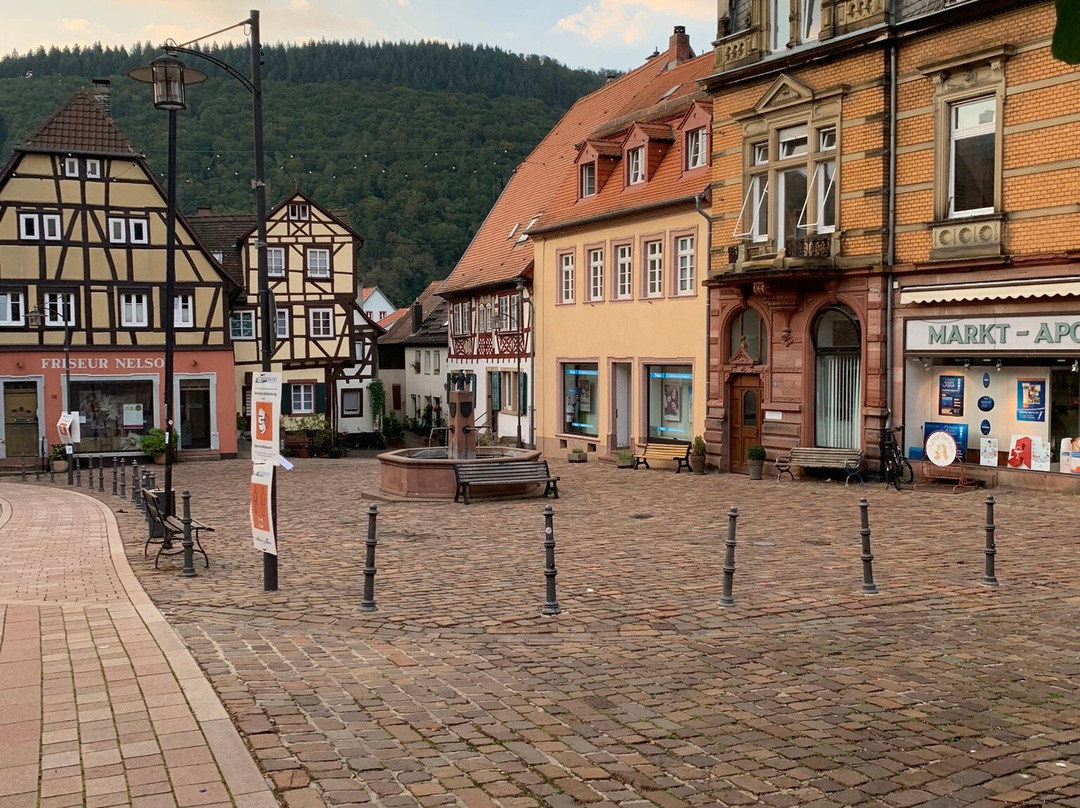 Marktplatz Neckargemünd景点图片