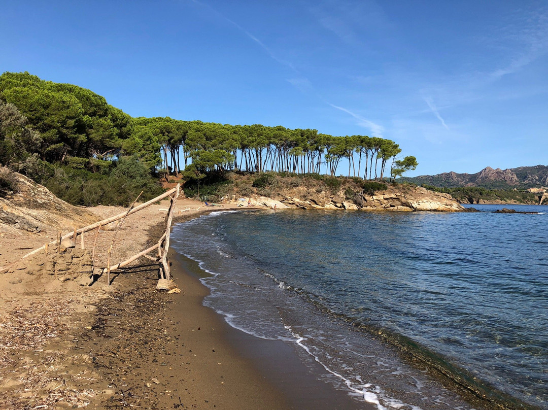 Spiaggia di Istia景点图片
