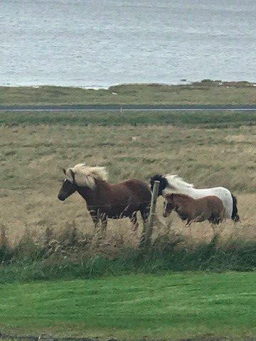 The Garage - Studio Apartments主图