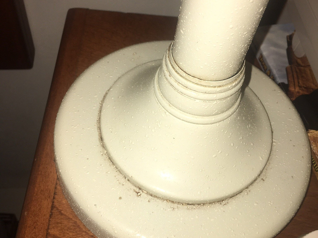 Scandinavian Lodge主图