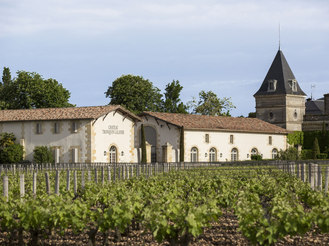 Château Tronquoy-Lalande景点图片