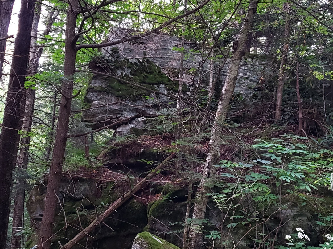 Monongahela National Forest-Elkins必去景点