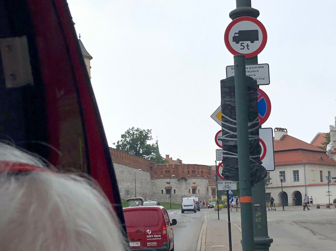 WowKrakow! Hop On Hop Off Bus-克拉科夫必去景点