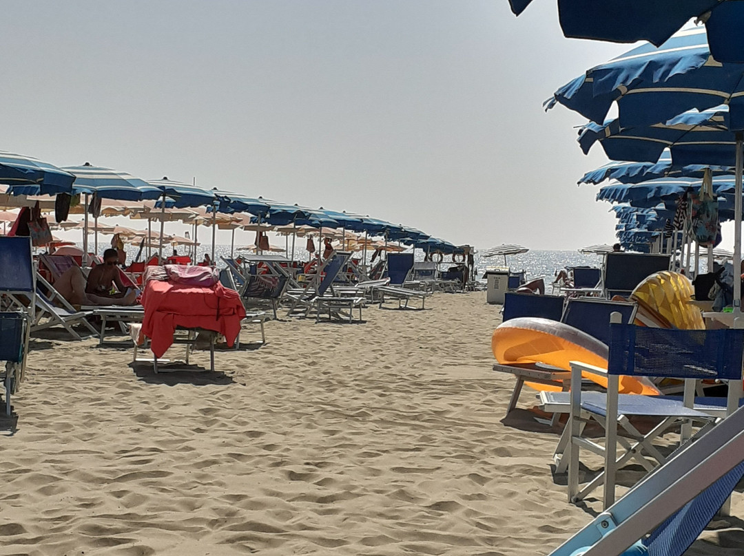 Hotel Pineta Mare主图