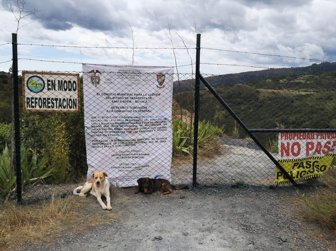 Paso del Angel-博亚卡必去景点