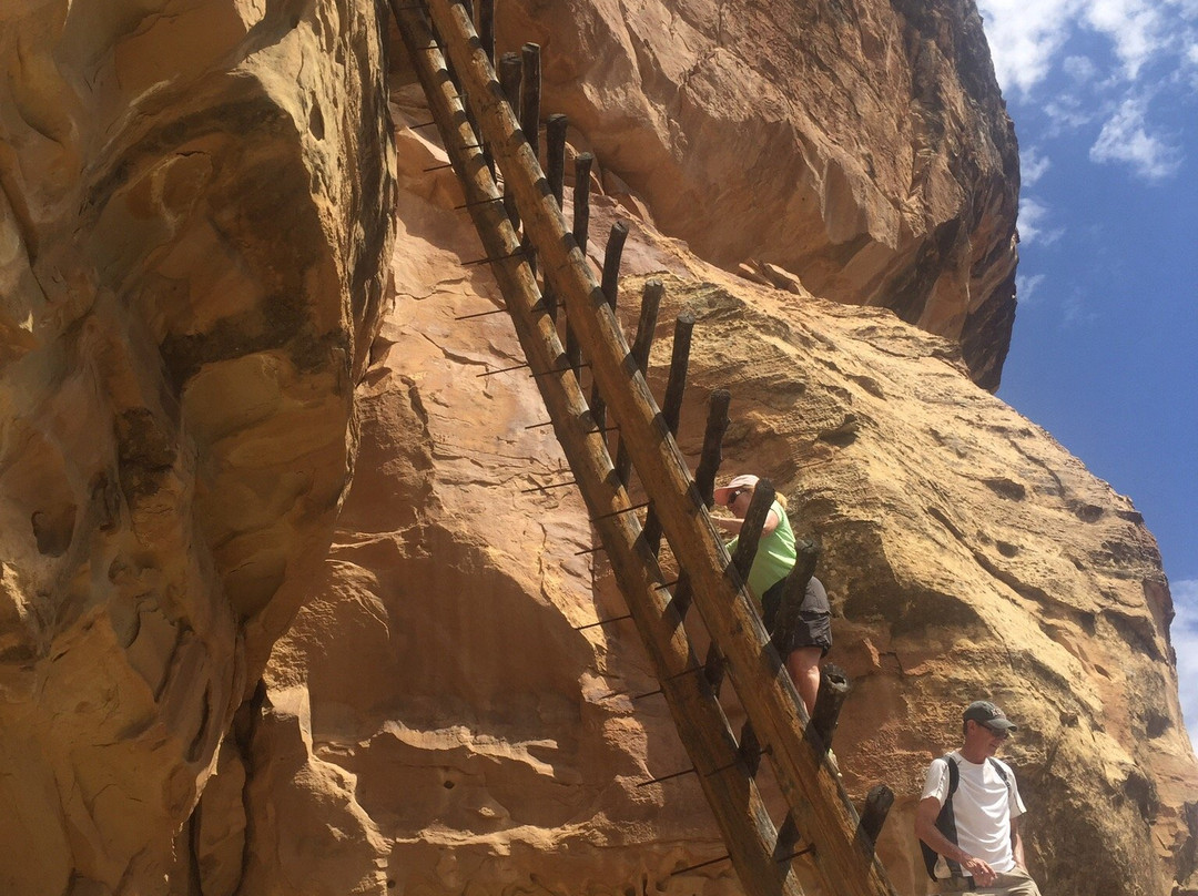 Ute Mountain Tribal Park-Towaoc必去景点