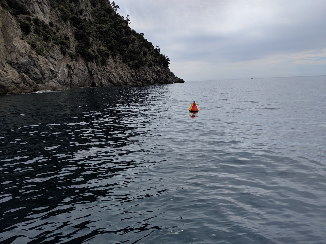 Portofino Divers景点图片
