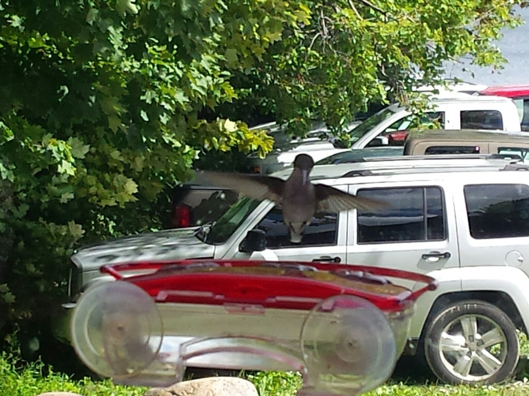 Stillwater Hotel主图