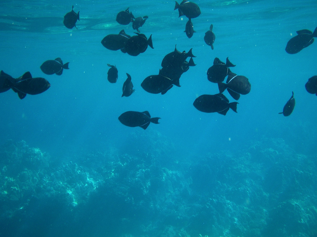 Kanahena Cove-基黑必去景点