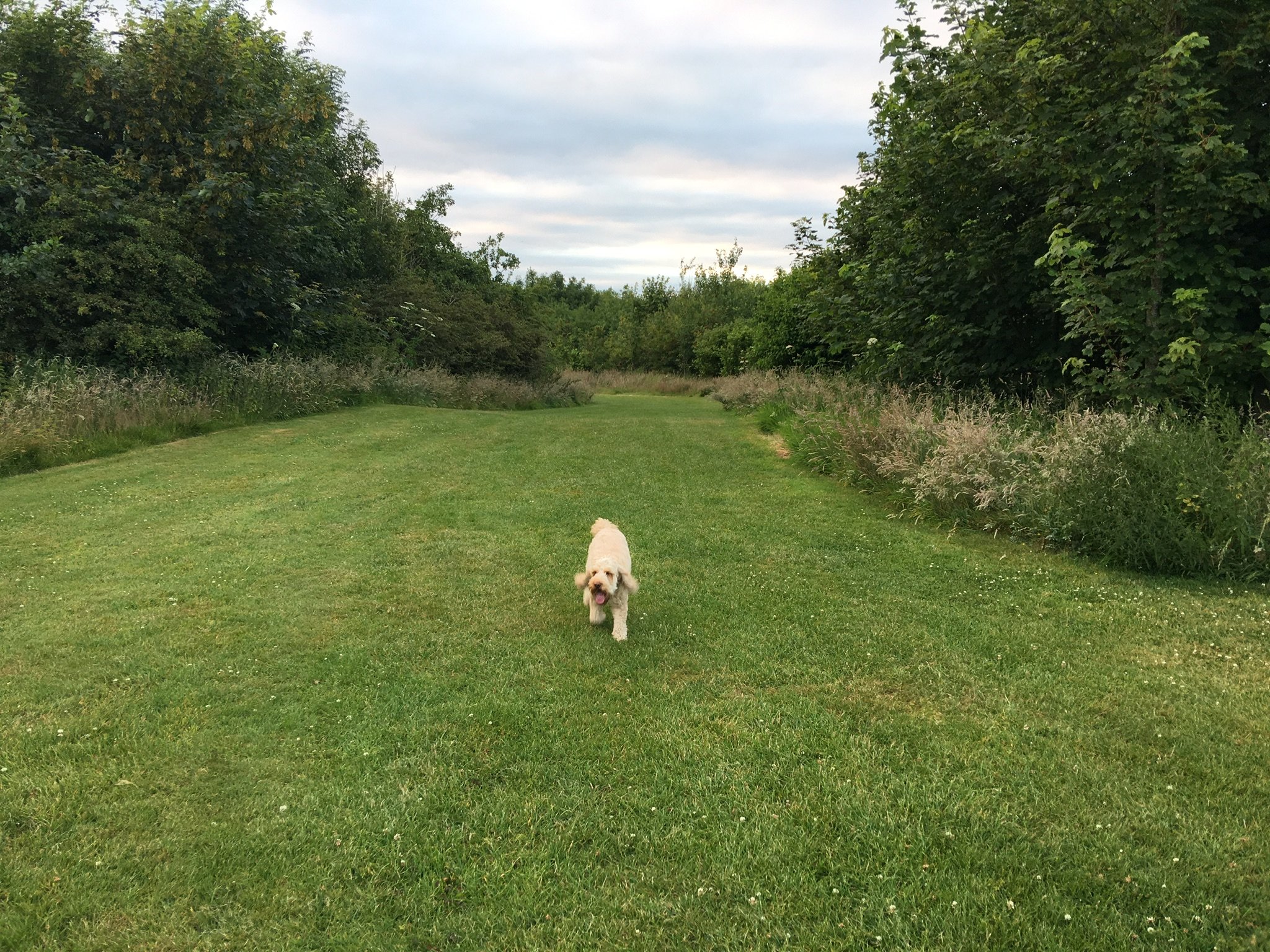 Warcombe Farm Camping Park-浴室