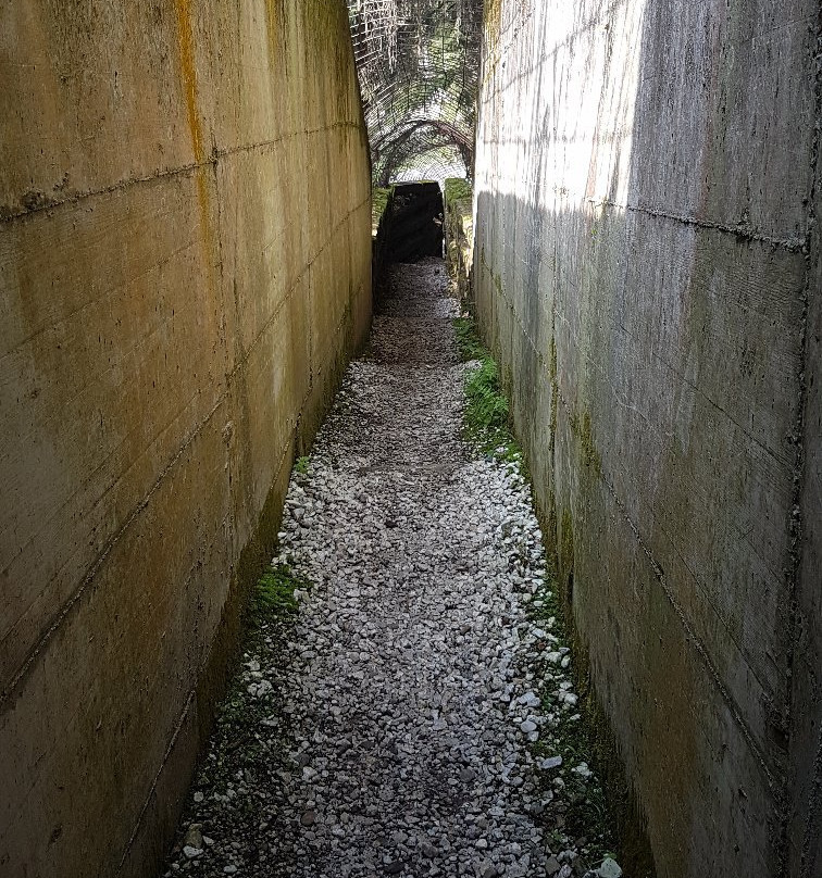 Bunkermuseum景点图片