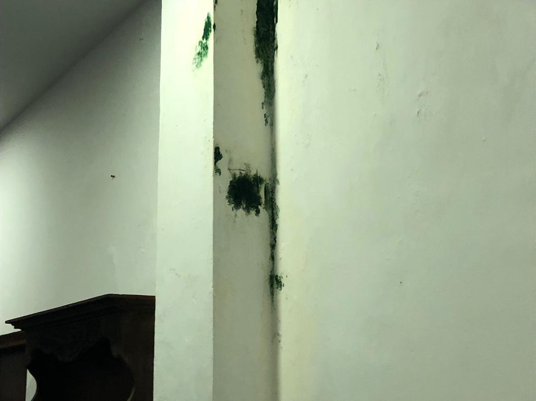 Bay Beach Hotel主图