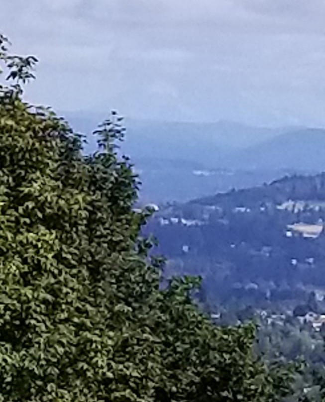 Hogan Butte Nature Park-格雷舍姆必去景点