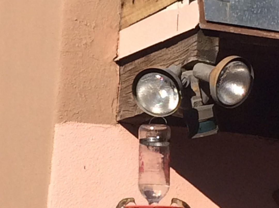 Inn on the Rio主图