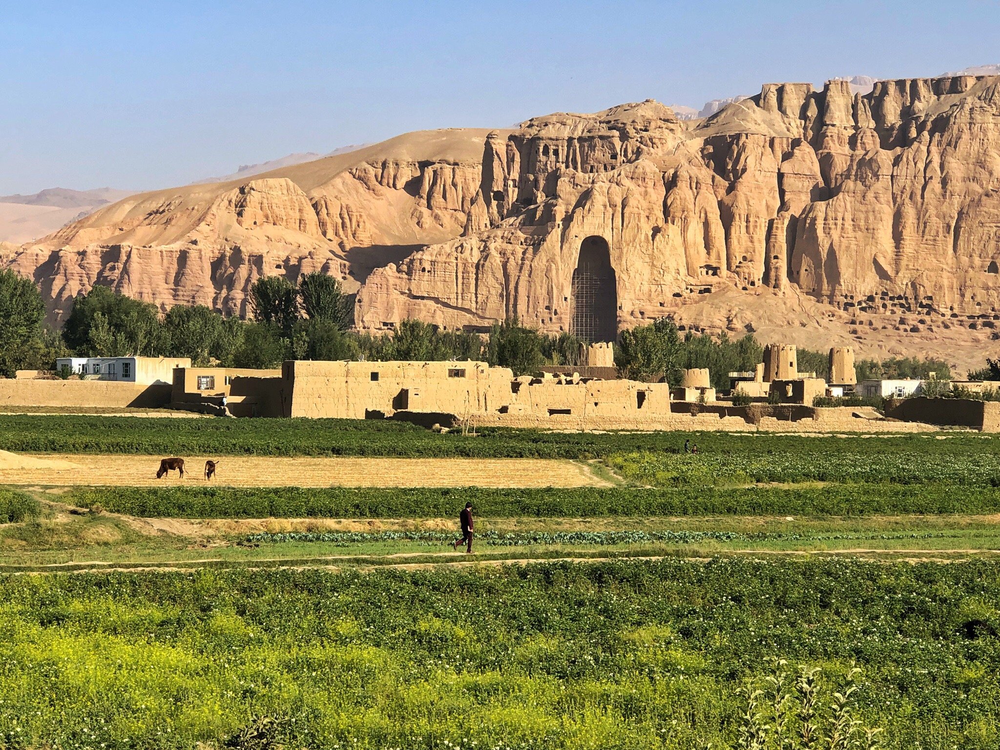 Silk Road Hotel-官方