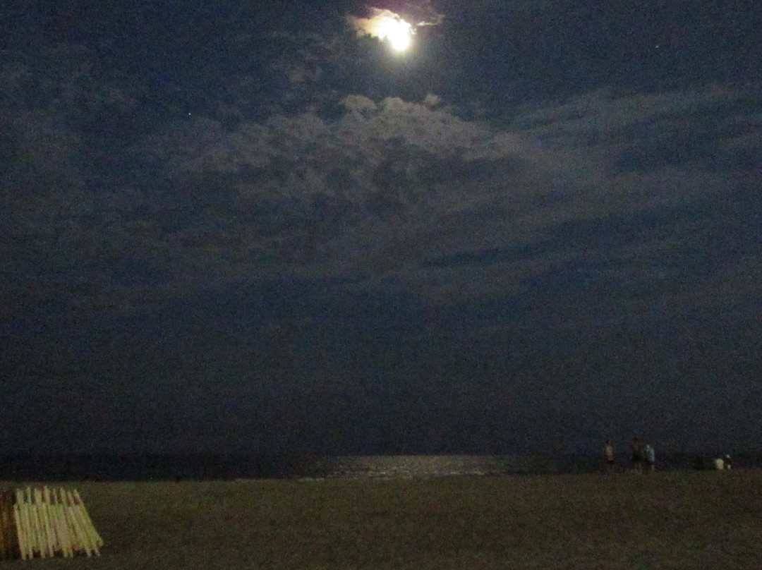 Anderson Ocean Club And Spa主图