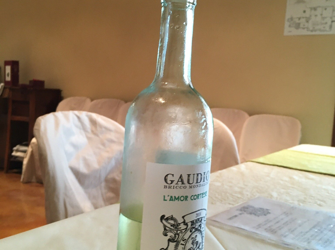 Gaudio Bricco Mondalino-Vignale Monferrato必去景点