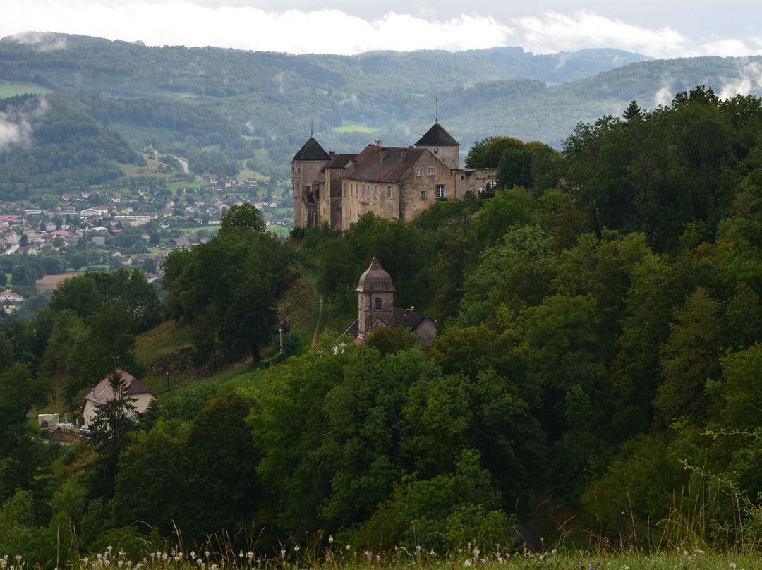 Château de Belvoir景点图片
