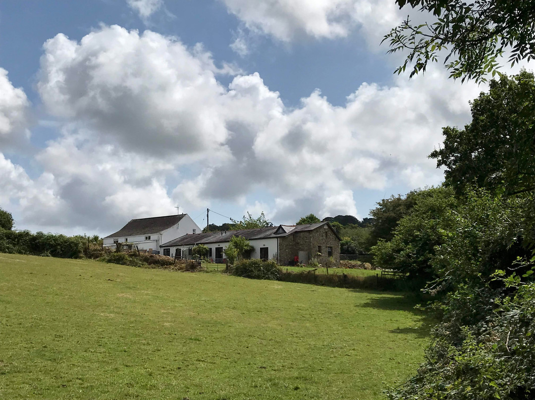 Blaen Cedi Farm