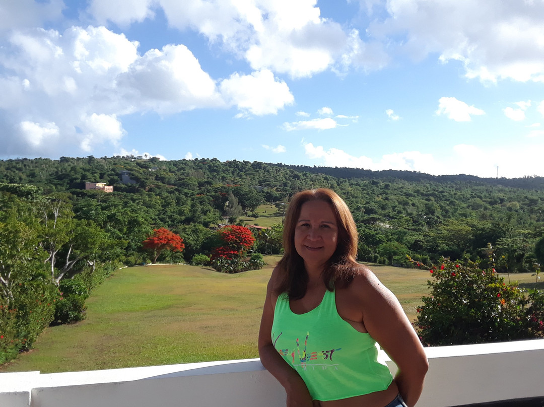 Great Escape Bed & Breakfast Inn主图