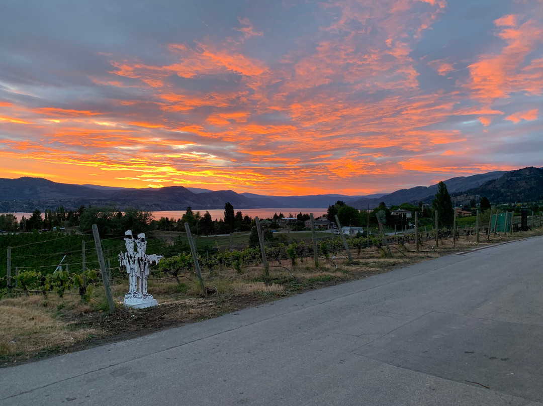 Therapy Vineyards & Inn