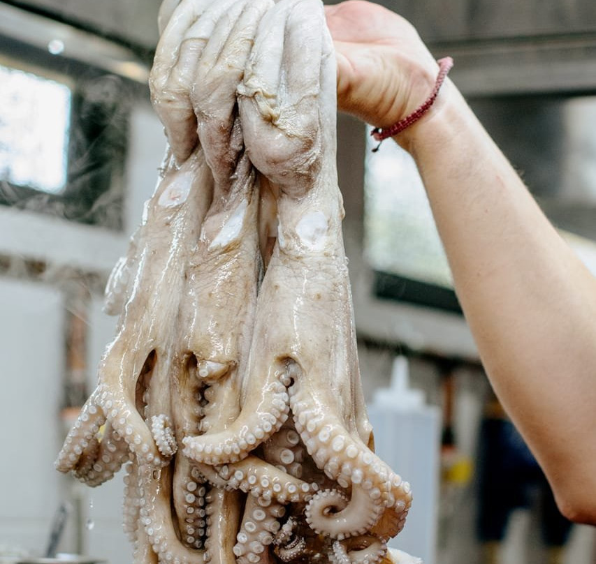 Hotel Rancho Tabachines主图