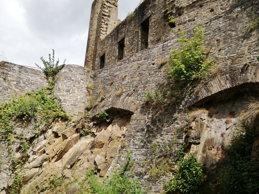 Schloss Buerresheim景点图片