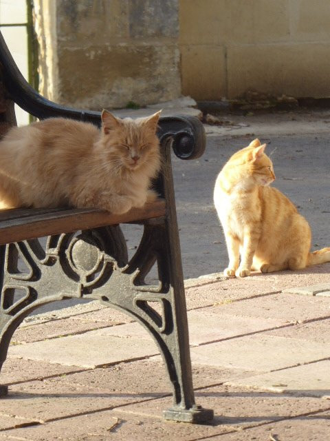 Robert Samut Hall-Floriana必去景点