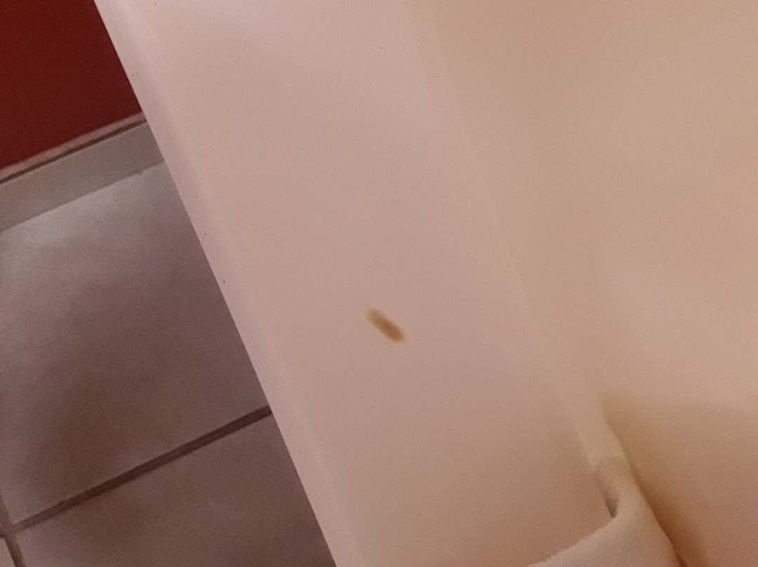 Quality Inn & Suites Hot Springs-Lake Hamilton主图