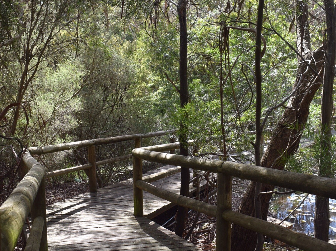 Ballarat Bird World景点图片