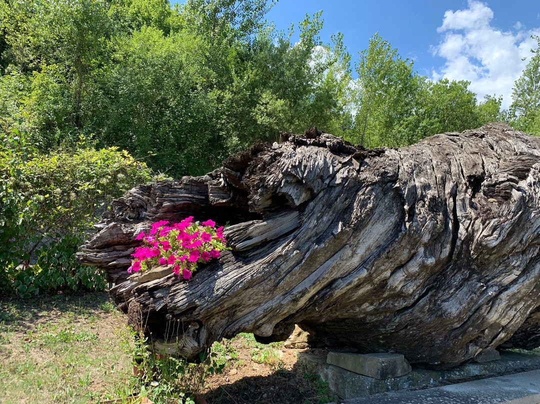 Agriturismo Brenzone主图
