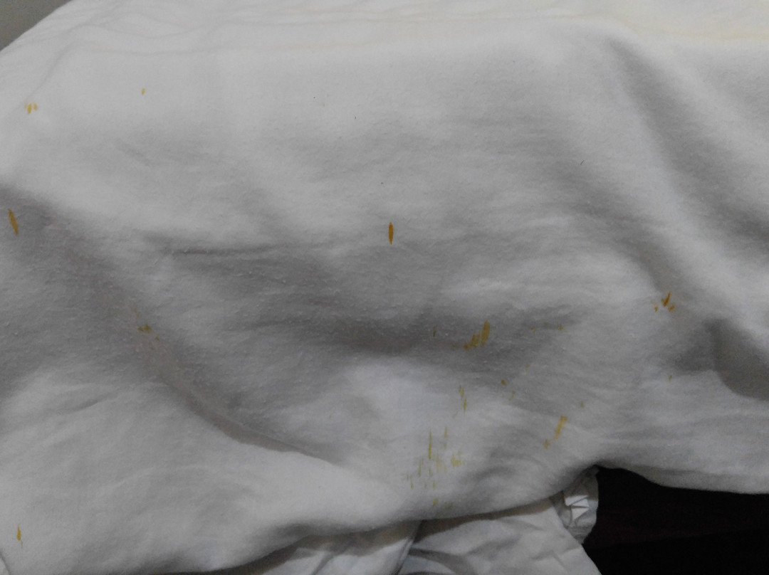 玛瑞安妮塔小屋酒店主图