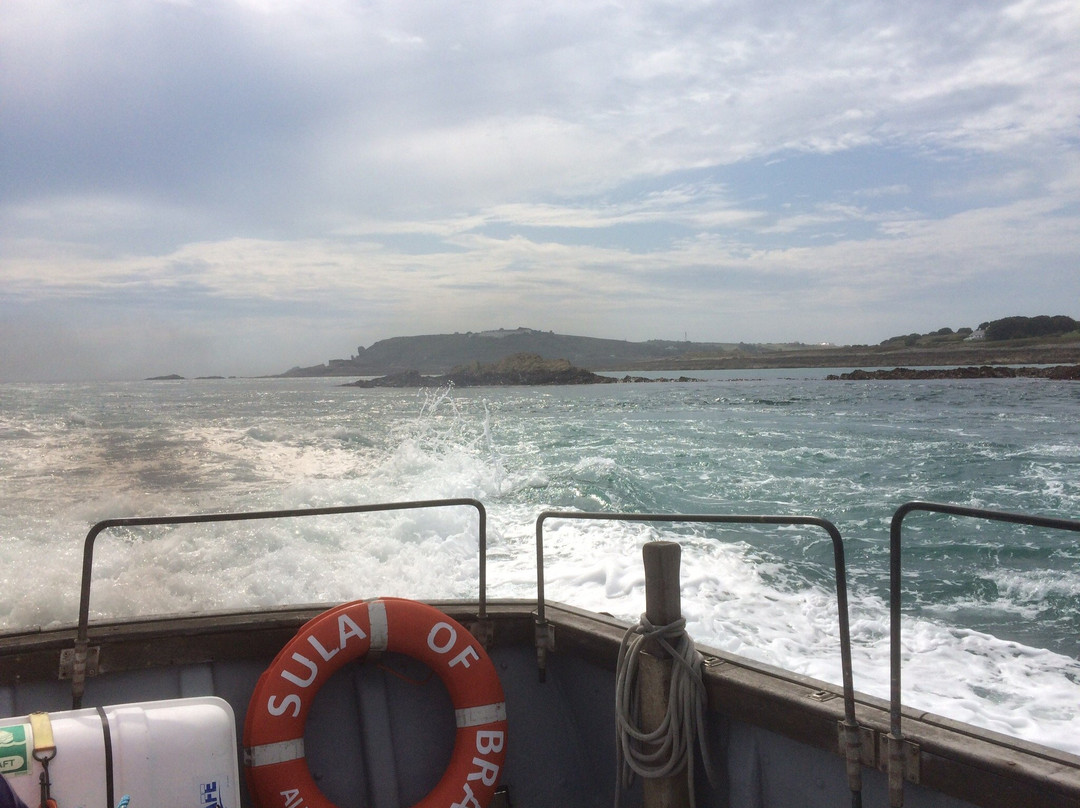 Alderney Wildlife Trust - Seabirds Boat Trip景点图片